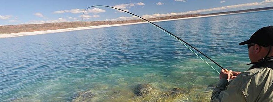 Jurassic Lake – Patagonian Rainbow Trout!