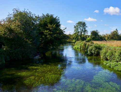 Wherwell Estate, Chalkstream Fly Fishing. River Test, Hampshire