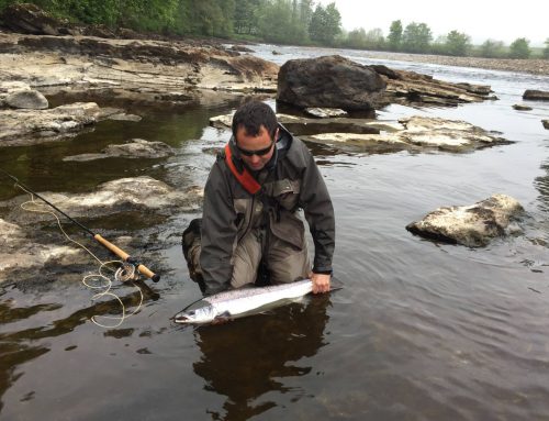 Dunfallandy & West Haugh Fishing. Two fish for one offer! Catch a river Tummel springer